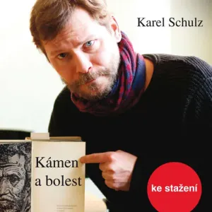 Kámen a bolest - Karel Schulz (mp3 audiokniha)