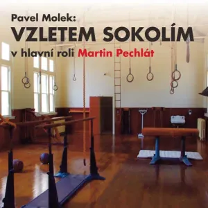 Vzletem sokolím - Pavel Molek, Jiří Homola, Petr Dudek (mp3 audiokniha)