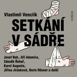 Setkání v sádře - Vlastimil Venclík (mp3 audiokniha)
