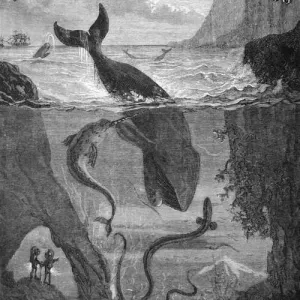 Dvacet tisíc mil pod mořem - Jules Verne (mp3 audiokniha)
