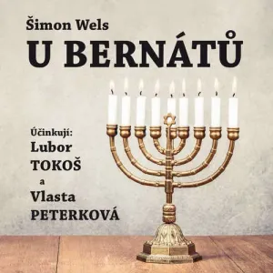 U Bernátů - Šimon Wels (mp3 audiokniha)