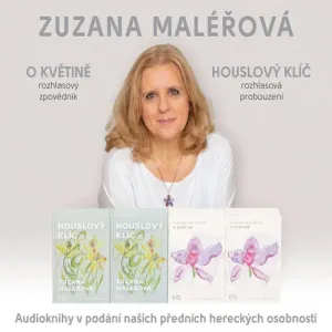 O květině & Houslový klíč - Zuzana Maléřová (mp3 audiokniha)