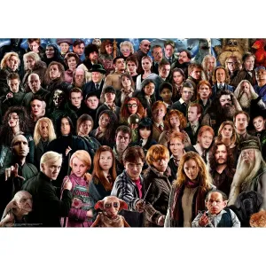 Ravensburger Puzzle Harry Potter Predstavitelia sveta čiar a kúziel 1000 dielikov