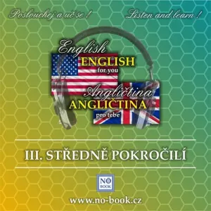 Angličtina pro tebe 3 - středně pokročilí - Richard Ludvík (mp3 audiokniha)