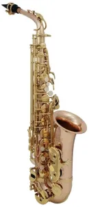 Roy Benson AS-202G Alto Saxofón