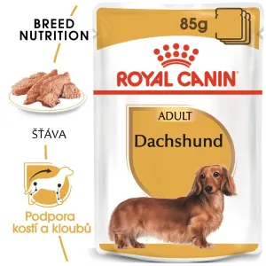 Royal Canin Dachshund Loaf - kapsička s paštétou pre jazvečíka - 12 x 85g