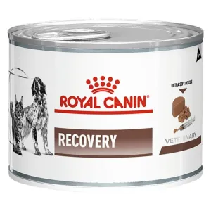 Royal Canin/ Feline Veterinary Diet RECOVERY konzerva - 195g