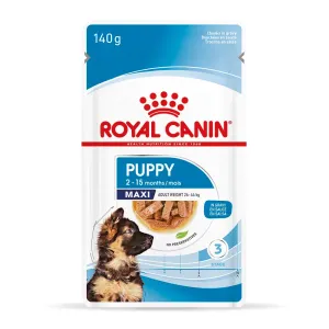 Royal Canin Maxi Puppy v omáčke - 40 x 140 g