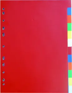 Rozdružovač A4 2x6 farieb PP 120mic