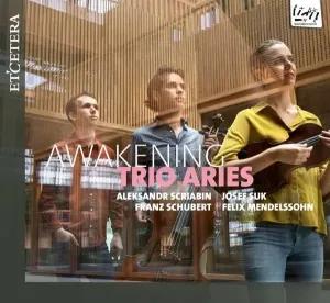 ARIES TRIO - AWAKENING, CD