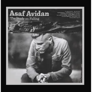 ASAF AVIDAN - THE STUDY ON FALLING, CD