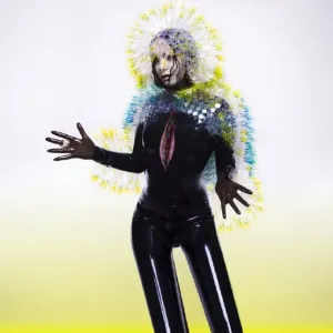 Björk, VULNICURA, CD