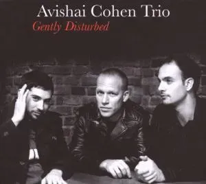 COHEN, AVISHAI -TRIO- - GENTLY DISTURBED, CD