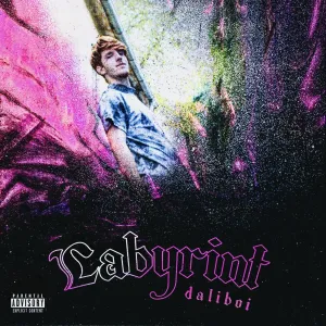 Daliboi, Labyrint, CD