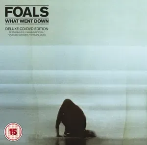 FOALS - WHAT WENT DOWN (CD+DVD), CD