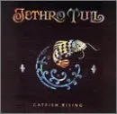 Jethro Tull, CATFISH RISING, CD