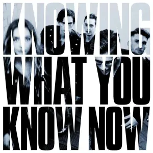 Knowing What You Know Now (Marmozets) (CD / Album)