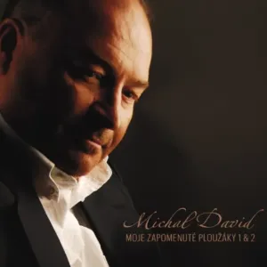 David Michal - Moje zapomenuté ploužáky 1+2 2CD