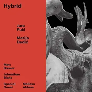 PUKL, JURE & MATIJA DEDIC - HYBRID, CD