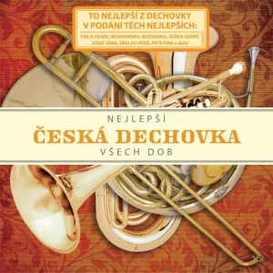 RUZNI/POP NATIONAL - NEJ CESKA DECHOVKA VSECH.., CD