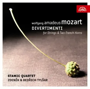 Zdeněk Tylšar, & Bedřich Tylšar - Wolfgang Amadeus Mozart : Divertimento, CD
