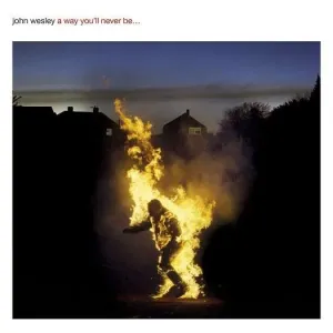 WESLEY, JOHN - a way you'll never be, CD