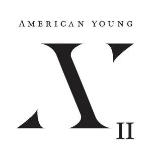 AMERICAN YOUNG - AYII, Vinyl