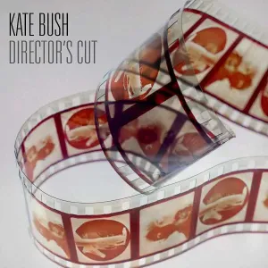 Director's Cut (Kate Bush) (Vinyl / 12