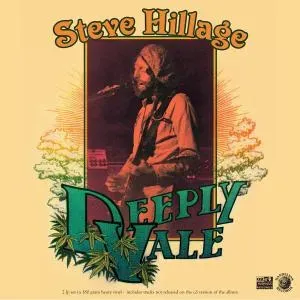 Live at Deeply Vale 1978 (Steve Hillage) (Vinyl / 12