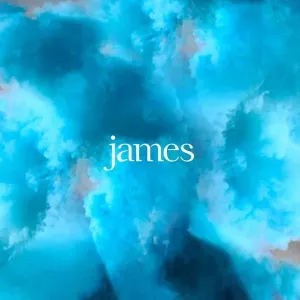 JAMES - BETTER THAN THAT, Vinyl