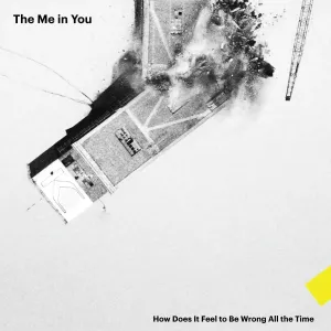 ME IN YOU - HOW DOES IT FEEL TO BE WRONG ALL THE TIME, Vinyl