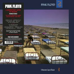 Pink Floyd - A Momentary Lapse Of Reason (2011 Remastered) LP