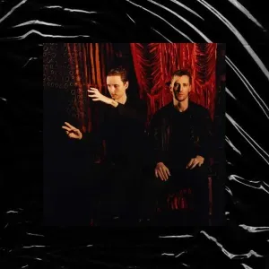THESE NEW PURITANS - INSIDE THE ROSE, Vinyl