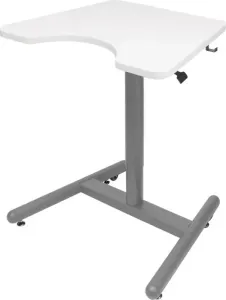 Písací stôl Salli School Desk Farba: sivá