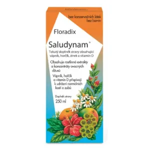 SALUS Floradix Saludynam tekutá froma 1x250 ml