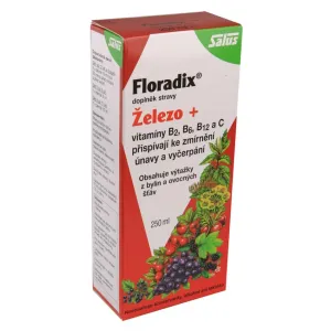 Salus Floradix železo + vitamíny B2, B6, B12 a C 250 ml