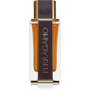 Salvatore Ferragamo Spicy Leather Special Edition parfémovaná voda pre mužov 100 ml