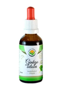 Salvia Paradise Ginkgo biloba - Jinan AF tinktúra 50 ml
