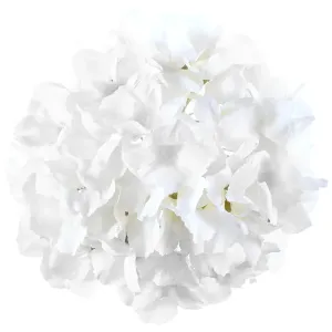 Santex Dekorácia - Hortenzia Ø 20 cm Farba: biela