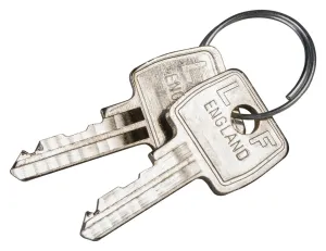 Schneider Electric Q99900919 Special Key, Reset Button