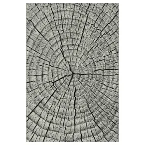 Sconto Koberec KOLIBRI 4 sivé drevo, 80x150 cm