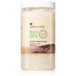Sea of Spa Bio Spa minerálna soľ do kúpeľa z Mŕtveho mora 1000 g #884977