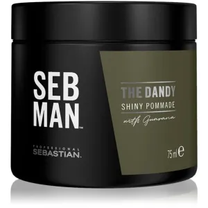 Sebastian Professional Man The Dandy Shiny Pommade pomáda na vlasy pre ľahkú fixáciu 75 ml
