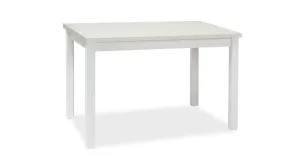 Signal Jedálenský stôl ADAM | 100 x 60 cm Farba: biely mat #5144357