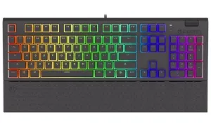 Endorfy herná klávesnica Omnis Pudd.Kaihl BL RGB /USB/ blue switch / drôtová / mechanická / US layout / čierna RGB