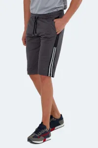 Slazenger Shorts - Gray - Normal Waist