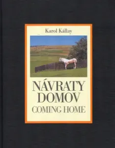 Návraty domov / Coming Home - Karol Kállay