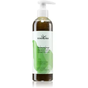 Soaphoria Hair Care tekutý organický šampón na mastné vlasy 250 ml #870535