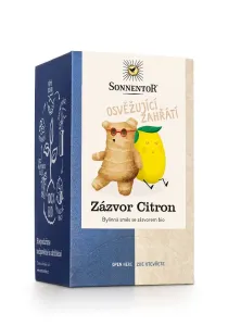 Čaj Zázvor - citrón porciovaný bio 32,4g Sonnentor