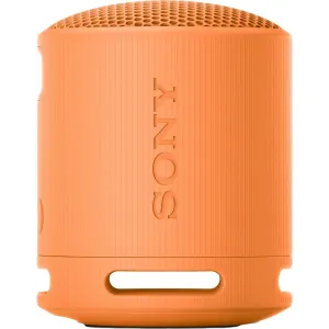 Sony SRS-XB100 Prenosný bezdrôtový reproduktor, sivá